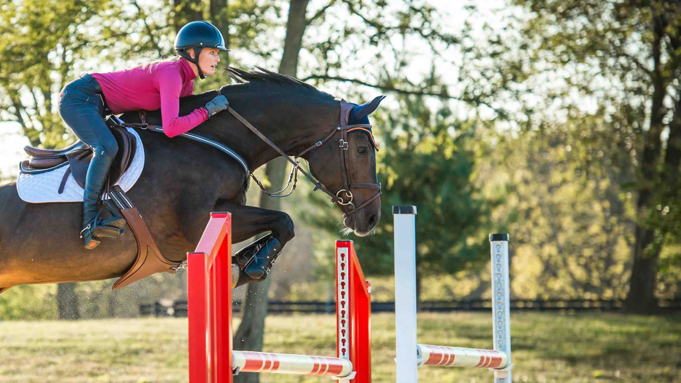 Horse Feed For Sport Horses